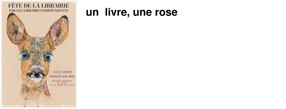 un livre, une rose