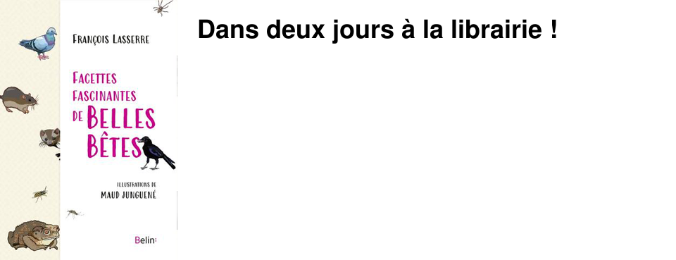 Dans deux jours � la librairie !